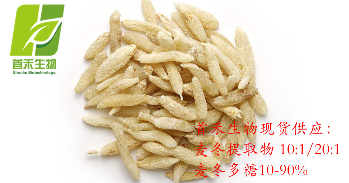 麦冬提取物 竹叶麦冬粉 现货供应麦冬多糖 质优价廉 欢迎咨询订购