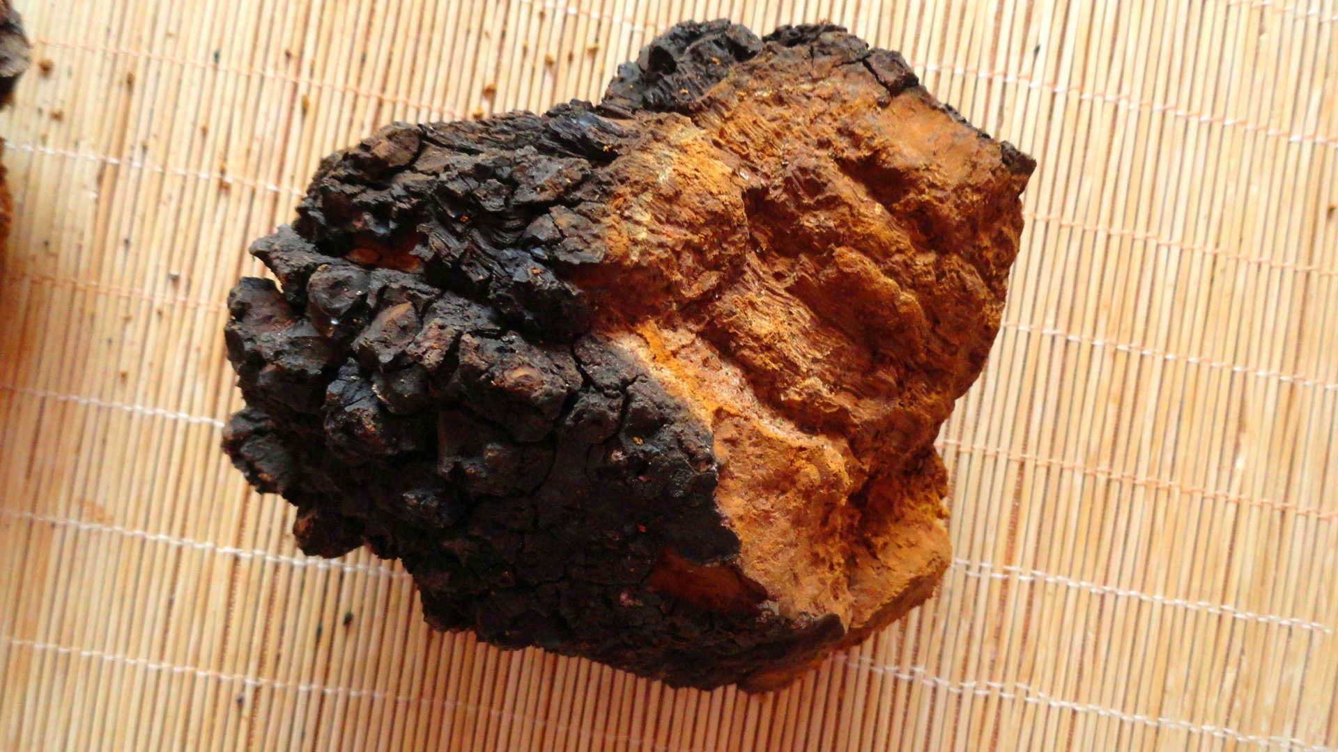 桦褐孔菌提取物 10:1 白桦茸提取物 慧科优质提取 实力卖家包邮