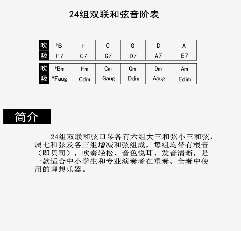 奇美和弦口琴双联24组成人演奏乐队演出团体合奏双排48组和弦口琴