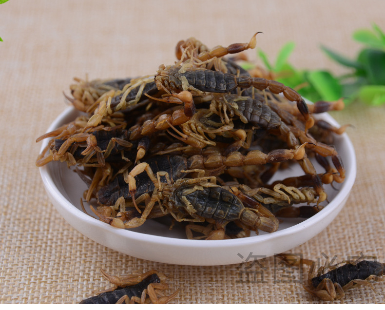 中药全蝎批发中药材厂家全虫现货批发黑蝎子淡盐全虫蝎子批发