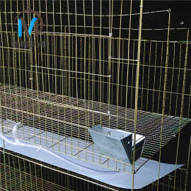 加粗12位铁丝网底兔笼商品笼白色镀锌铁丝笼獭兔笼母兔笼