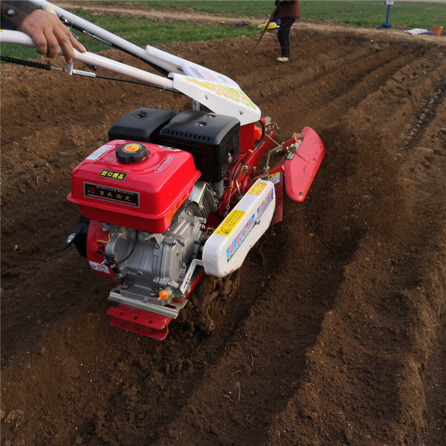 手扶链条式开沟培土机 草莓起垄机大棚旋耕除草机-阿里巴巴