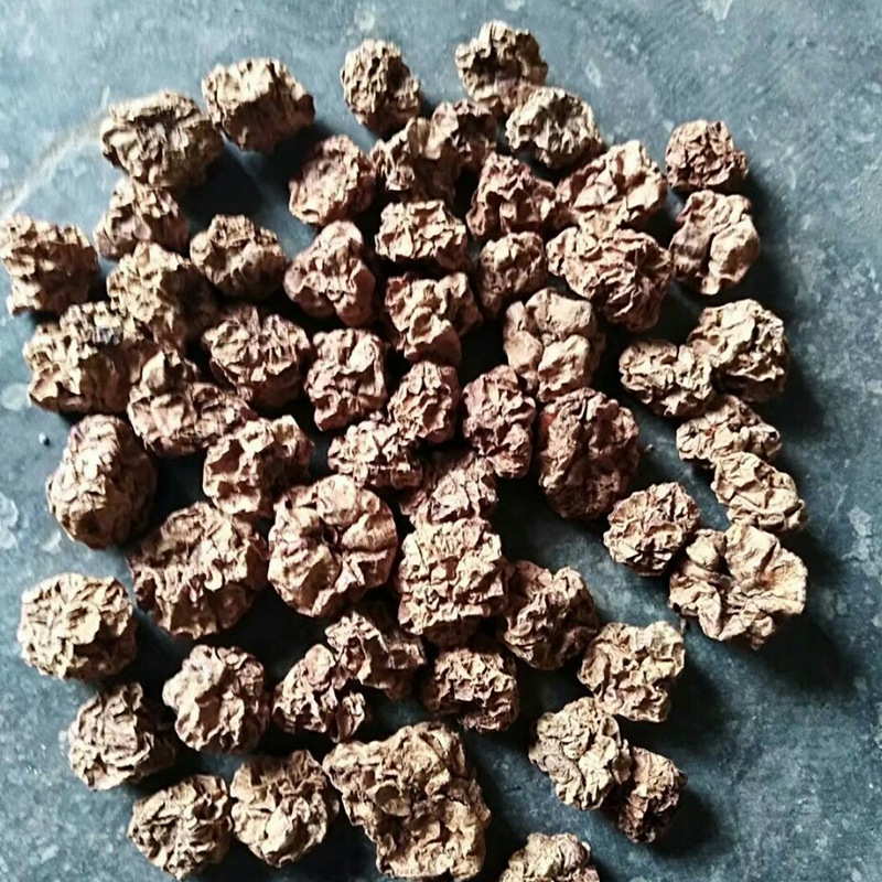 木天蓼果实木天蓼虫瘿果木天蓼棒猫玩具果实宠物猫零食