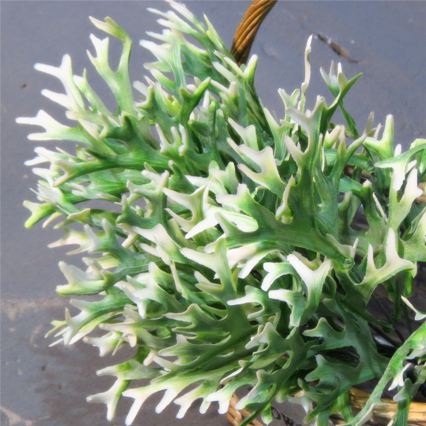 白边鹿角草 植物墙仿真花草塑料花假花家居装饰绿植插花