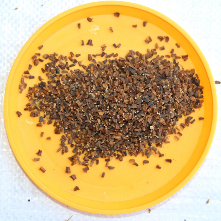 玛格丽特种子 茼蒿菊种子 木春菊种子庭院阳台四季易种花卉种子