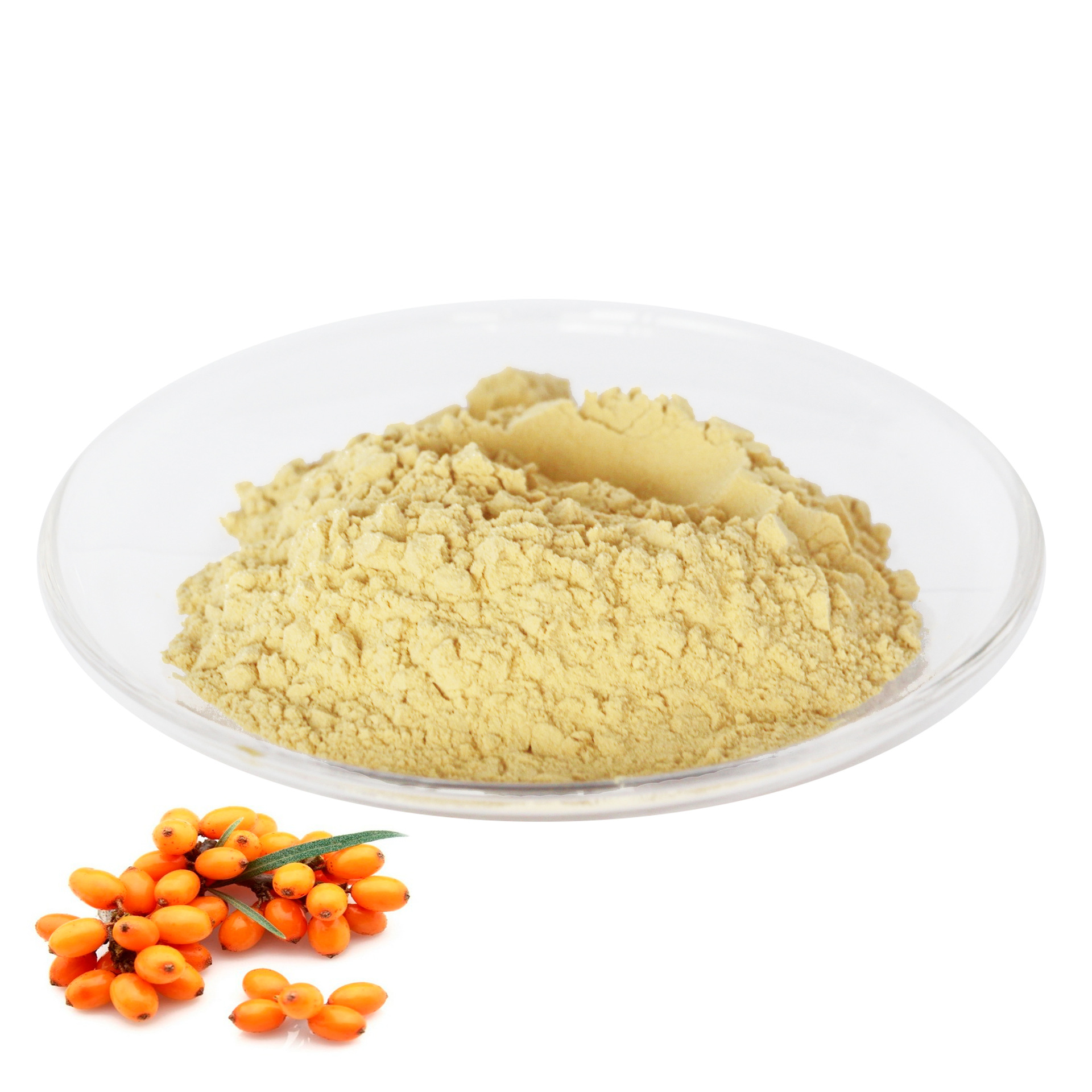 50g特产 中药材沙棘粉 全溶水沙棘果粉 喷雾干燥沙棘鲜果粉