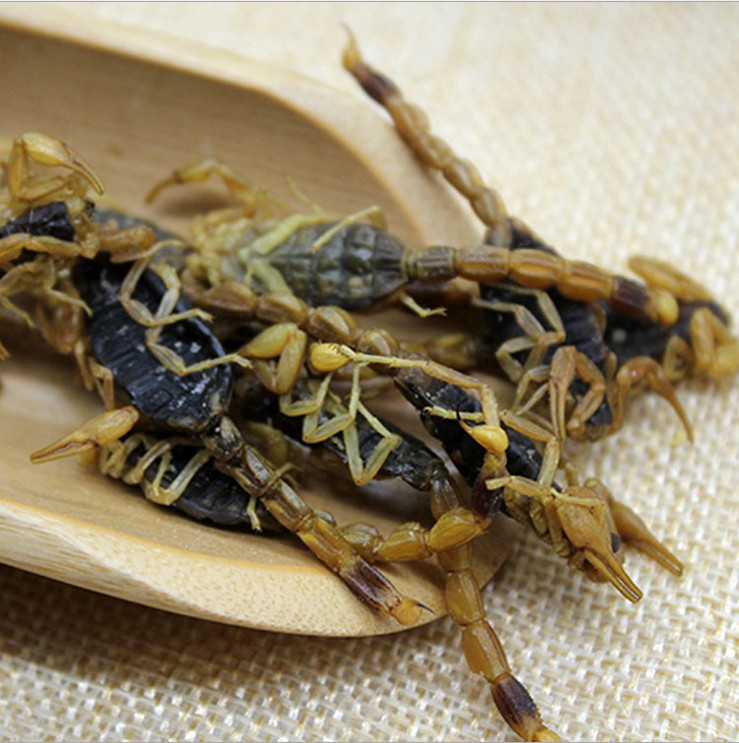 主营植物原药材,动物原药材,矿石原药材,名贵中药材,及各种饮片 ,天然