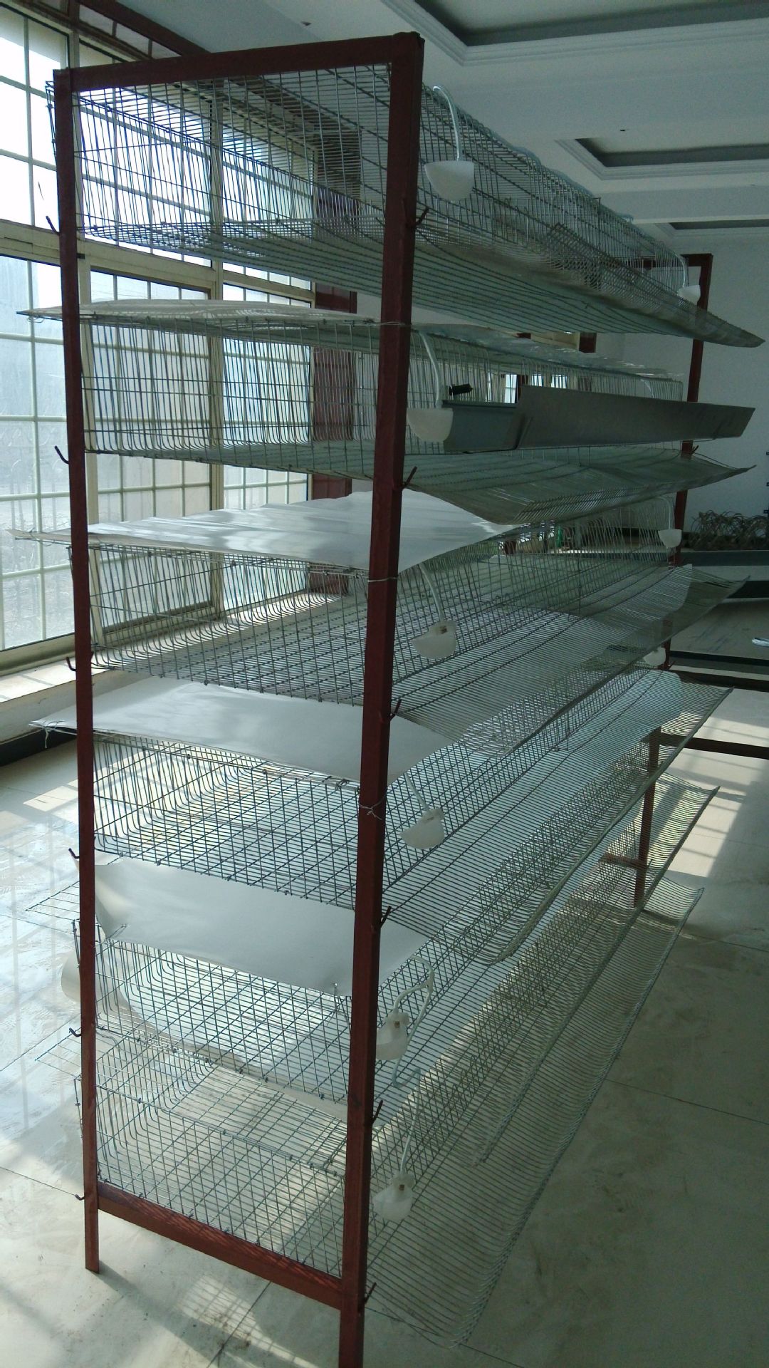 冷镀锌鹌鹑笼