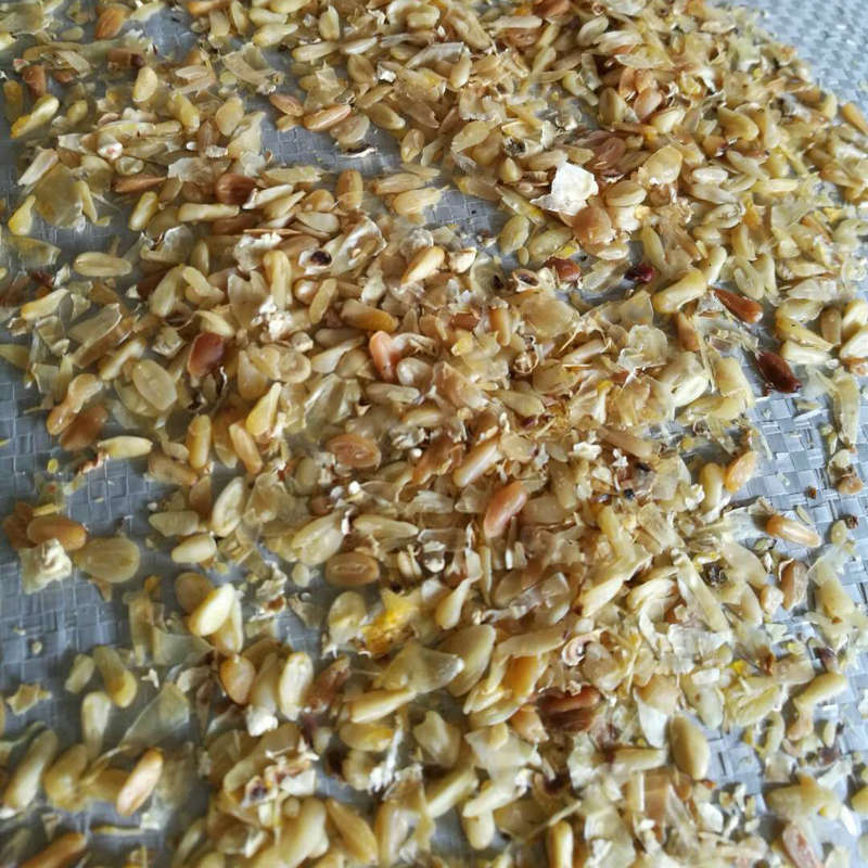 优质高出油率玉米胚芽