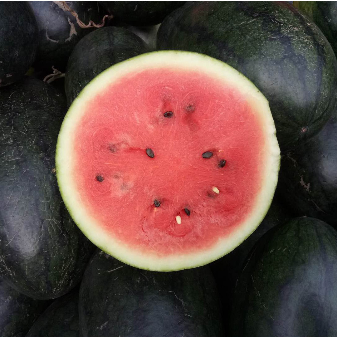 越南进口 黑美人西瓜 薄皮红瓤多汁爽口清甜 单个装4-5斤左右包邮