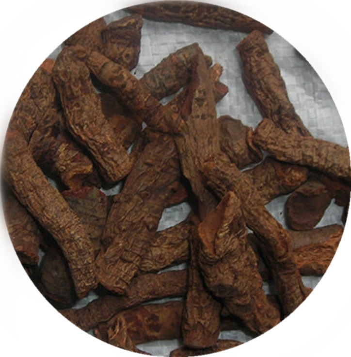 血三七 红三七 扭子七 盘龙七根500克 初级农产品