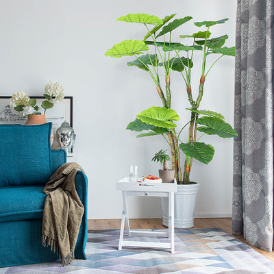 旅人蕉 北欧风假树仿真绿植盆栽大型旅人蕉盆景室内装饰ins风