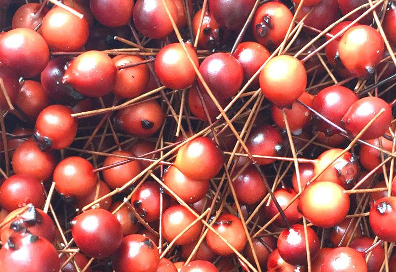 厂家批发圣诞浆果红果串 新款仿真植物石榴果子串仿真花定做批发