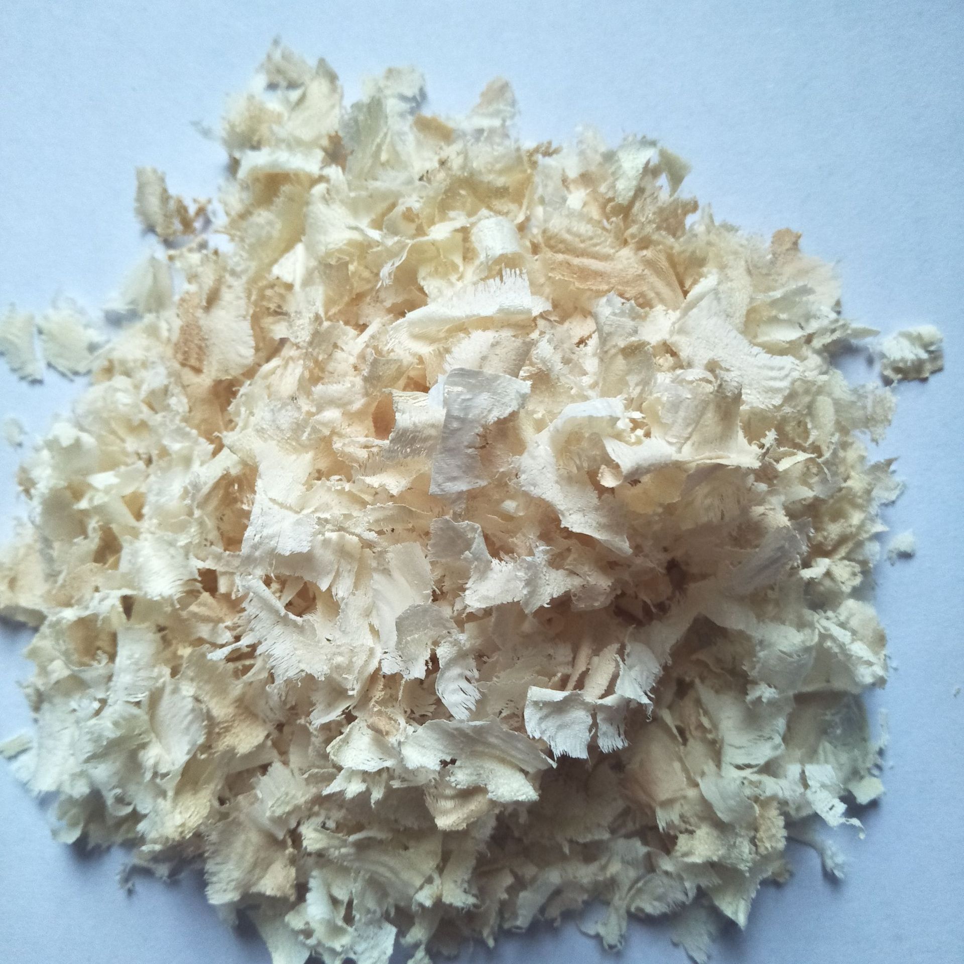 新款动物垫料刨花木屑垫料除尿仓鼠龙猫保暖垫料批发欢迎咨询