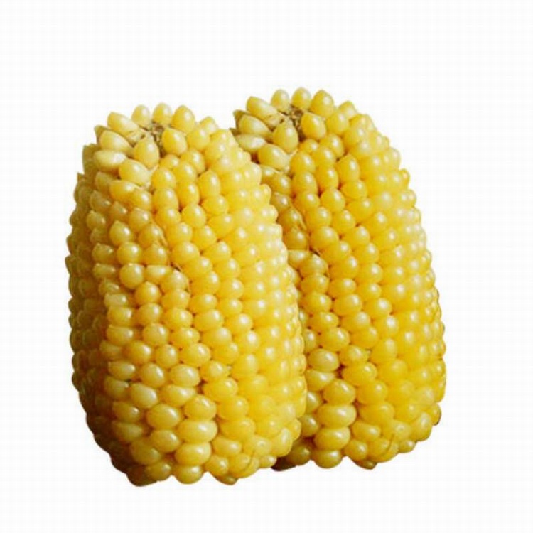 批发草莓玉米种子 菠萝玉米种子 蔬菜种子 观赏花卉种子 水果玉米