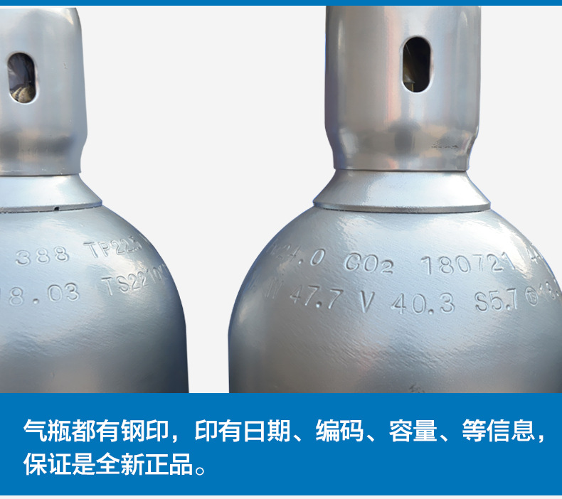 国标二氧化碳无缝钢瓶气瓶10l15l40升养鱼水草c02二保焊钢瓶 批发