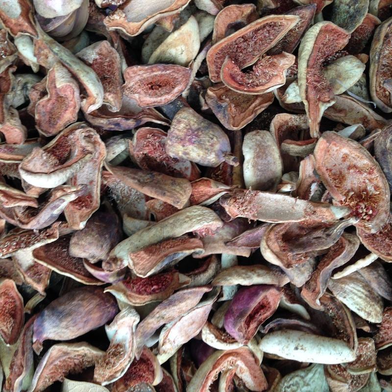 王不留行壳 王不留行 王不留行果 中药材批发 王不流行壳 1000g克