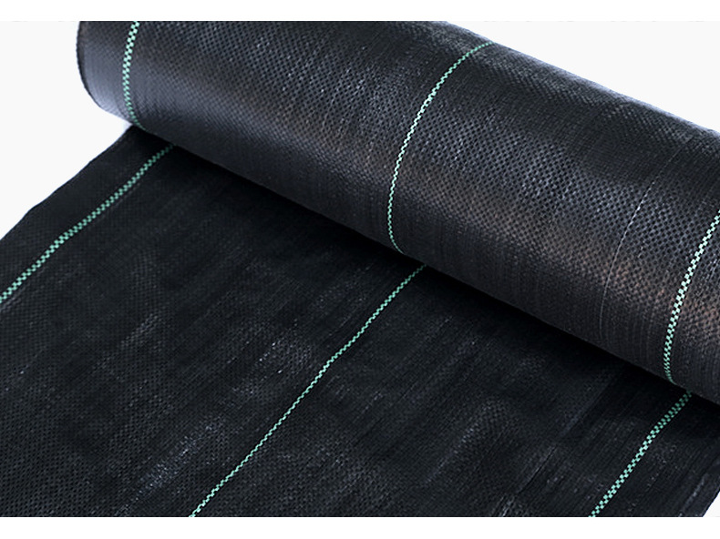 厂家现货直售黑色pp土工布除草布防草布 园艺地布pp编织布
