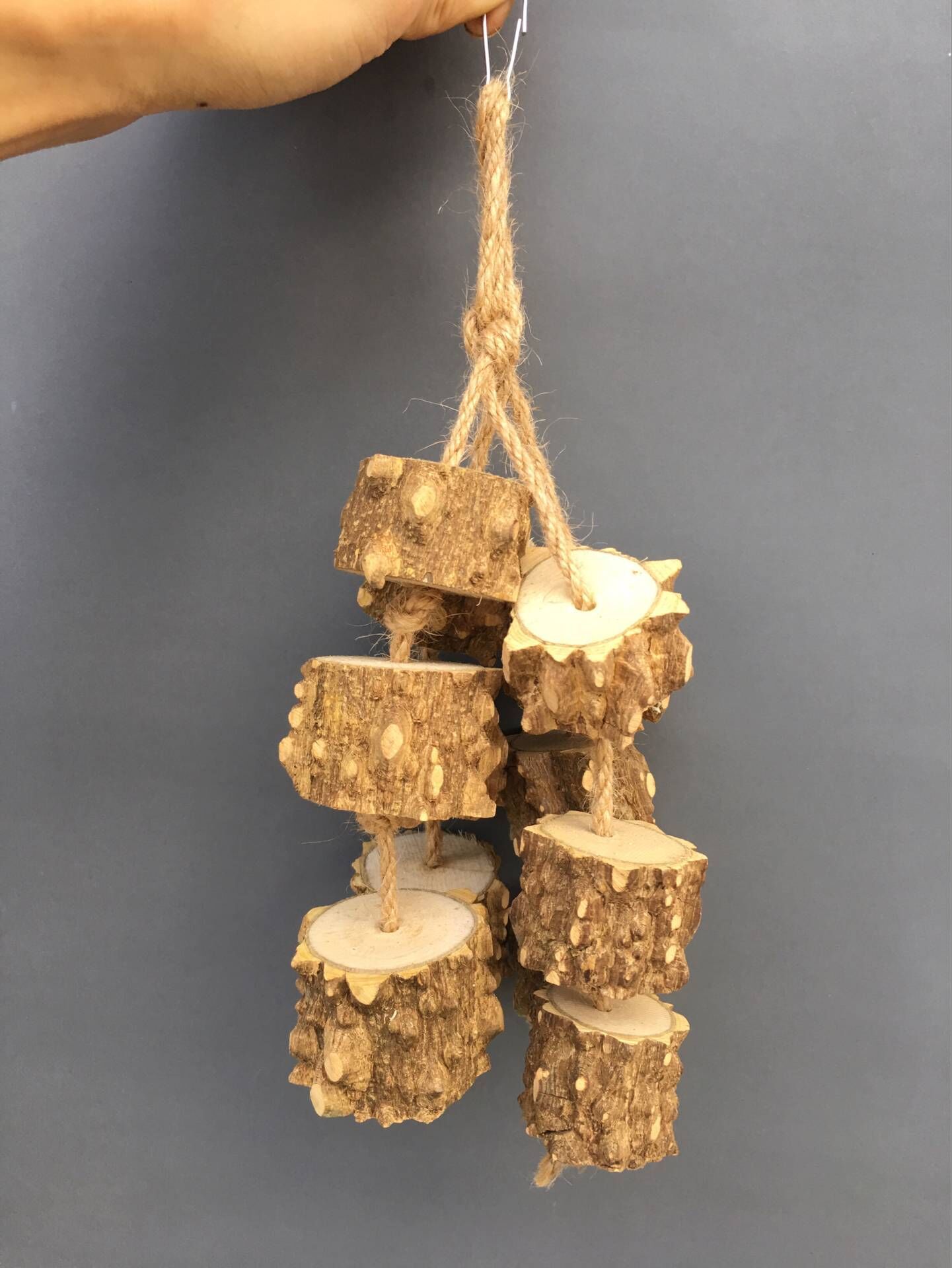 花椒木鹦鹉啃咬玩具