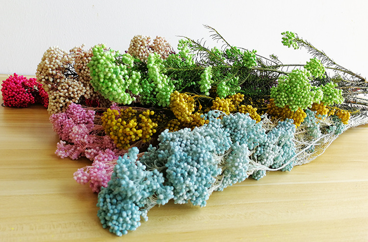 永生花米花干花 批发干花永生米花花束真花七夕情人节花束礼物