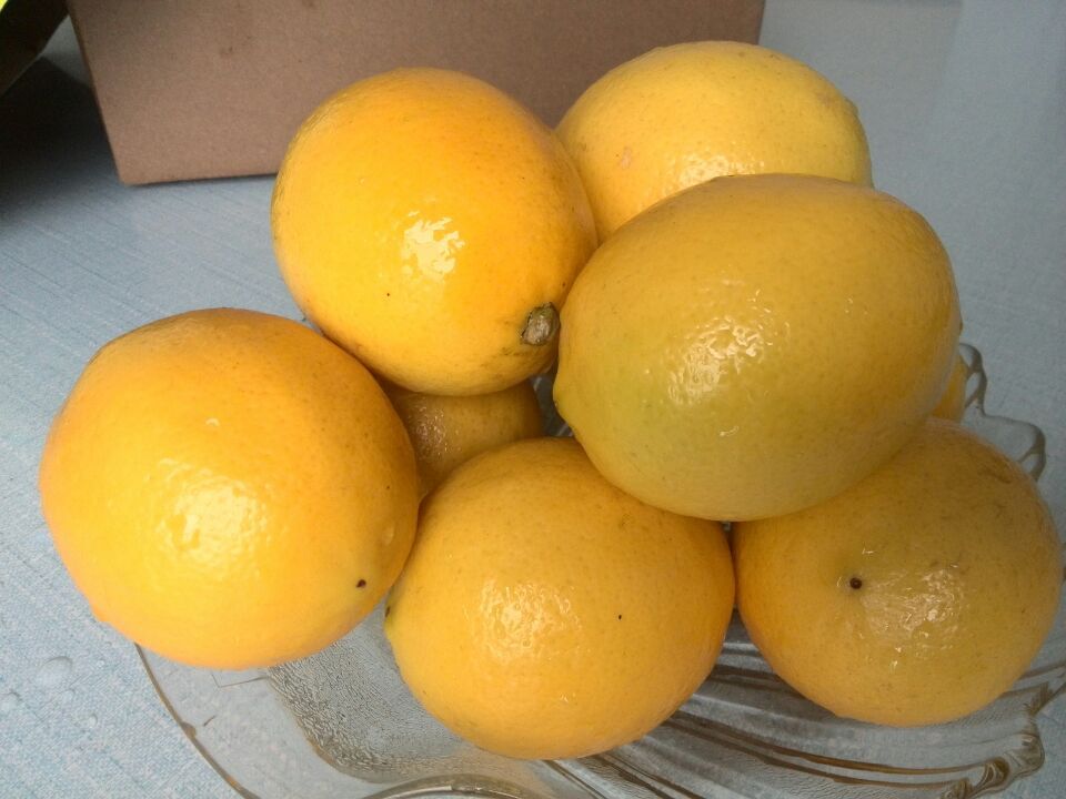 优质北京柠檬 新鲜万州黄柠檬 薄皮水柠檬 非尤力克柠檬产地直发