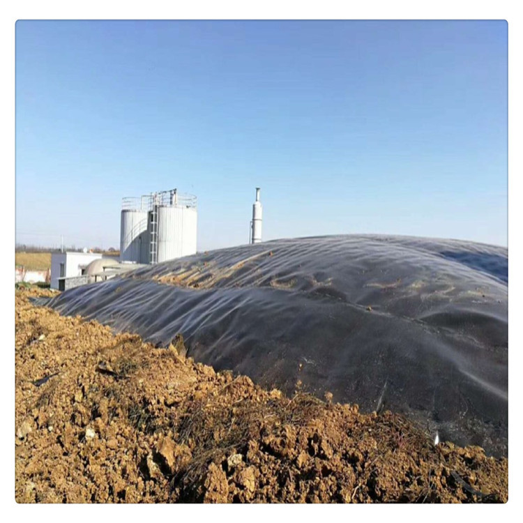 500克土工膜楼房地基建筑防渗防潮膜鱼塘养殖藕池种植防渗膜现货