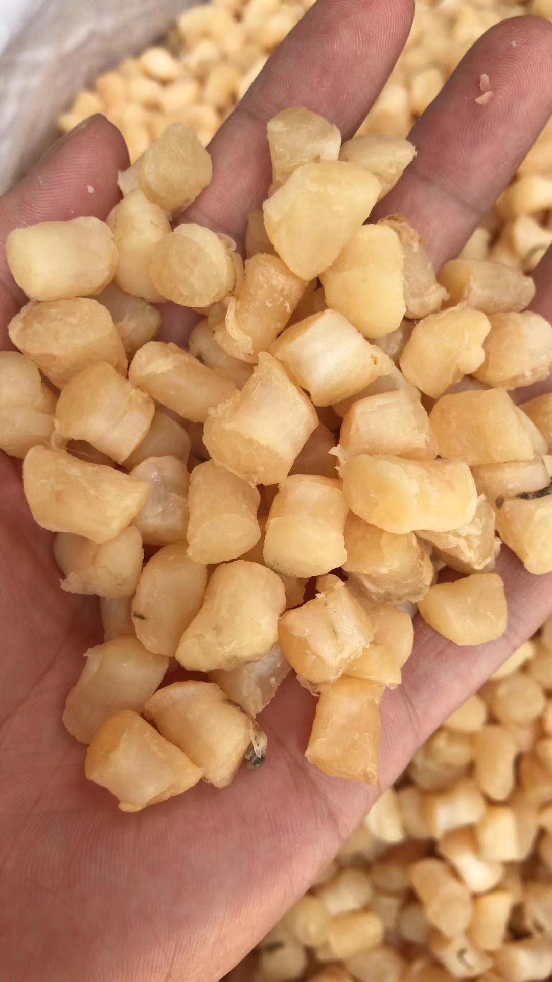 干贝 瑶柱批发 糖贝 咸贝 海鲜干货 海味干货 量大从优