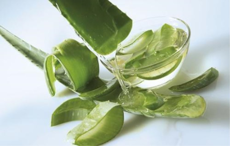 厂家现货供应库拉索芦荟汁提取物及多肉植物量大从优20kg装原料