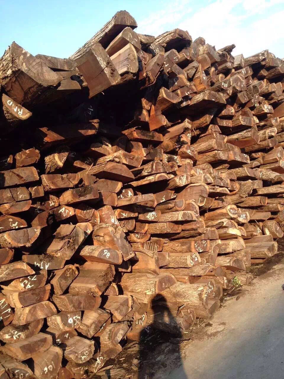 红贵宝板材 非洲酸枝木 红贵宝原木木板材 张家港胜鼎木业