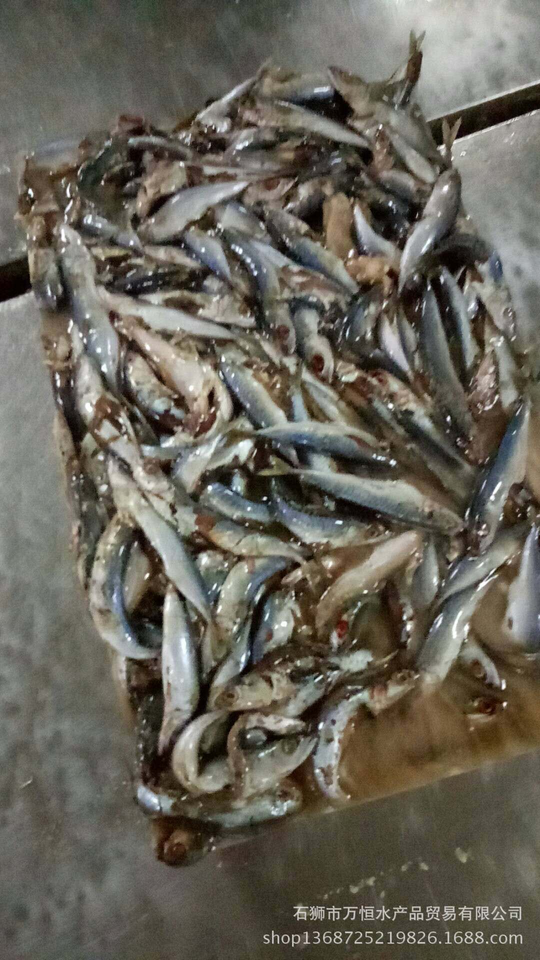 万恒水产批发 冷冻饲料鱼 杂鱼 小鲭鱼 花岩 乌江 9.5公斤一件