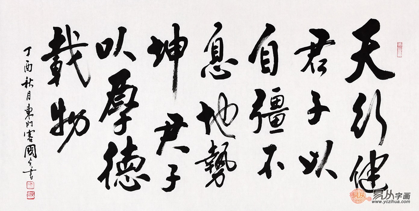 易经名言 于国光行书书法作品《天行健》【作品来源:易从网】