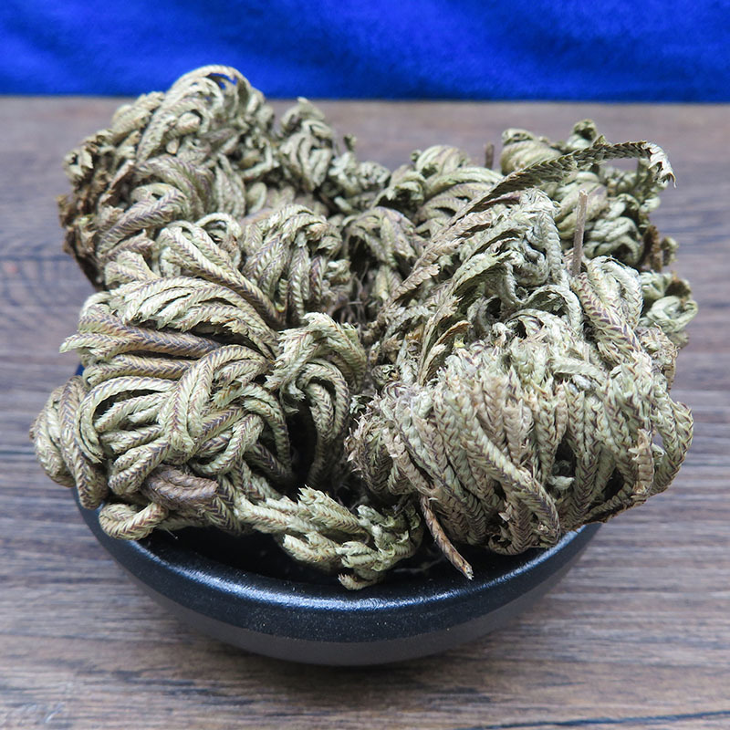 禾晟堂食品店卷柏九死还魂草冷背中草药批发500g大量供应