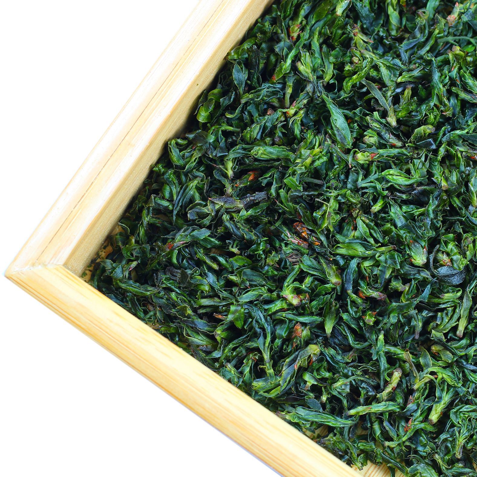 2020散装称重新茶青山绿水小叶苦丁茶散装苦丁茶毛冬青茶米芽花苞