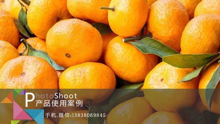 柑橘种植益生菌种出的柑橘