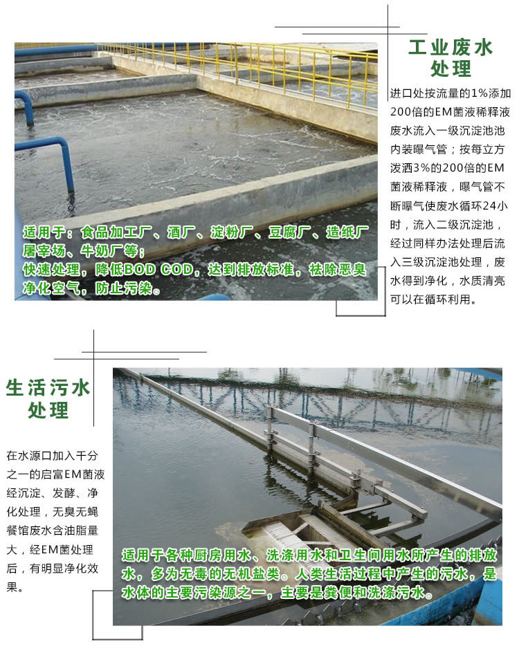 污水处理菌种功效