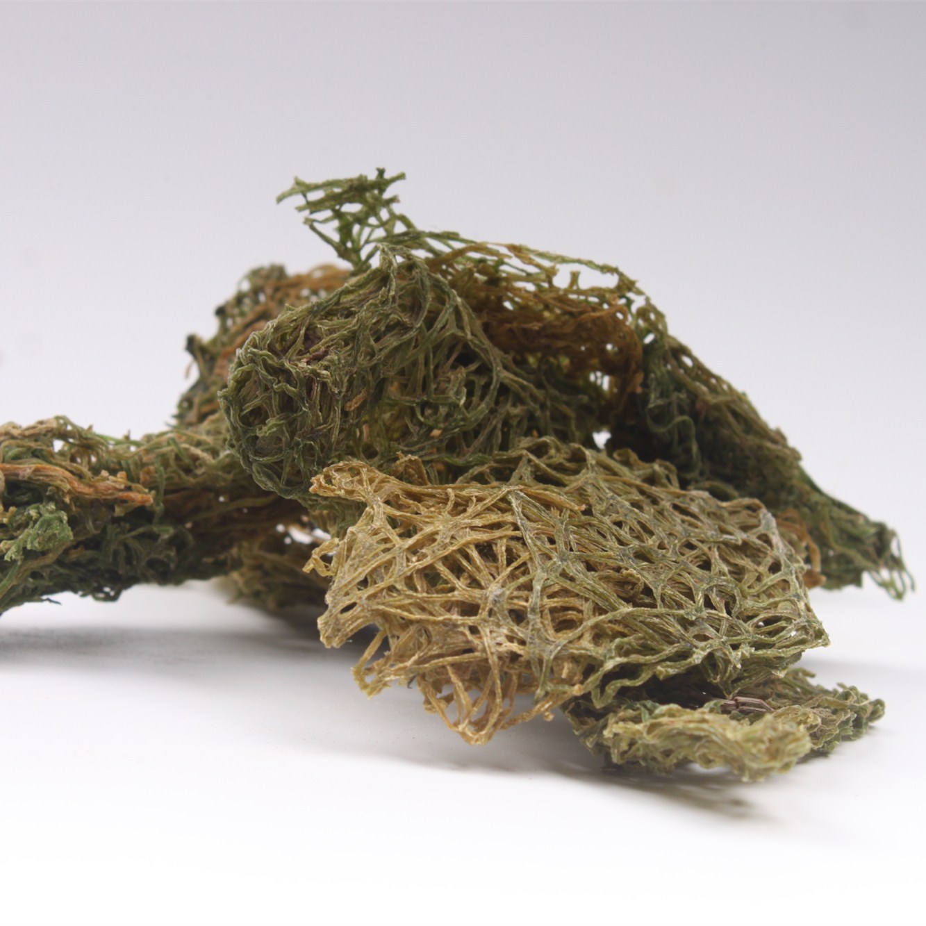 干货海粉挂面红海粉海珠海兔卵海兔子屎批发冷背奇海粉中药材海粉