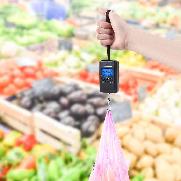 迷你手持便携式精准手提电子秤快递称重手提弹簧秤高精度手拿