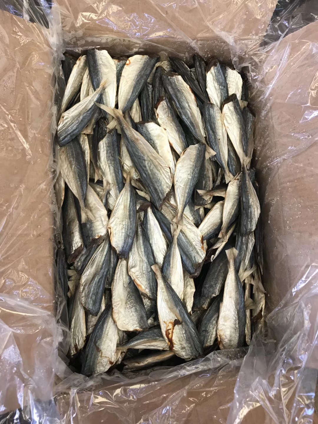 生池池鱼鱼干海鲜干货巴浪鱼