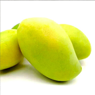 越南玉芒芒果10斤装应季新鲜水果淘宝微商一件代发包邮