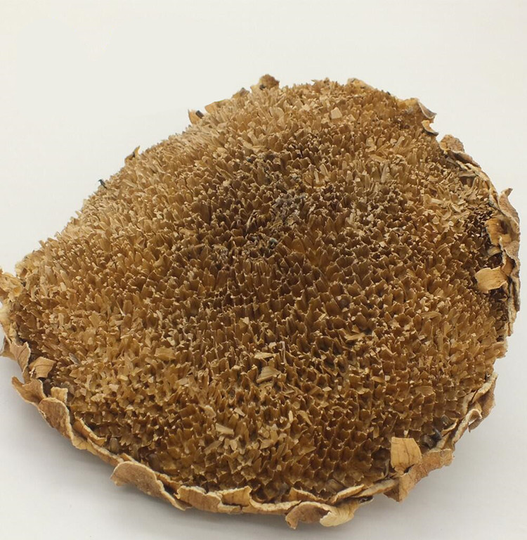 葵花盘 新货天然葵花盘 中药材正品无硫葵花一公斤包邮