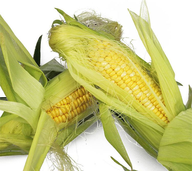 新鲜玉米棒农家带皮