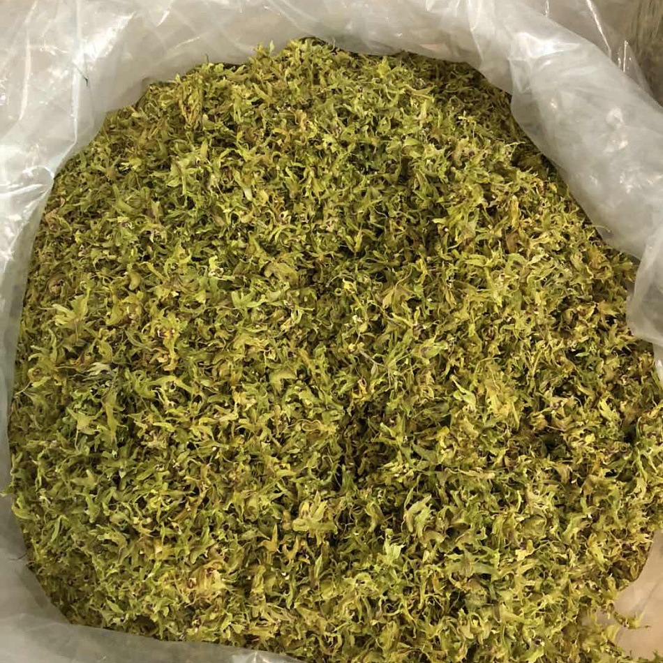 批发云南铁皮石斛花 铁皮枫斗花 红皮软脚正品石斛干花 铁皮花茶