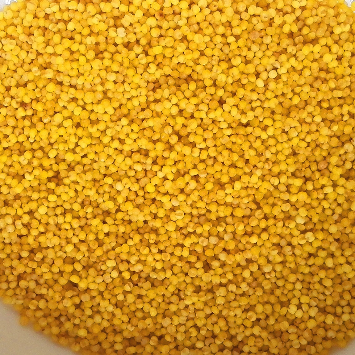 农业 粮油作物 高粱,粟,黍 > 供应详情  这是收获的谷子,磨出的小米