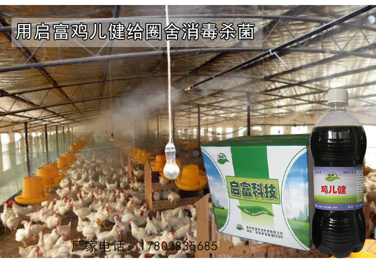 雞兒健菌液噴灑