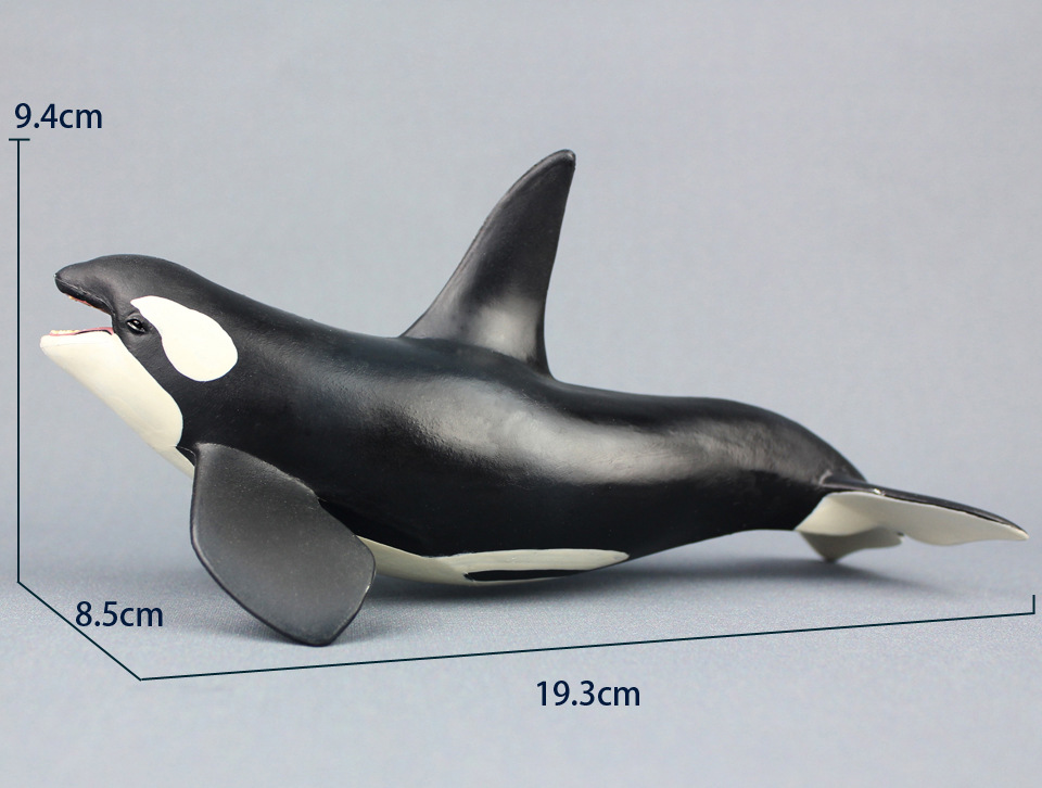 跨境大号虎鲸杀人鲸逆戟鲸仿真海洋生物塑料鲸鱼动物模型儿童玩具