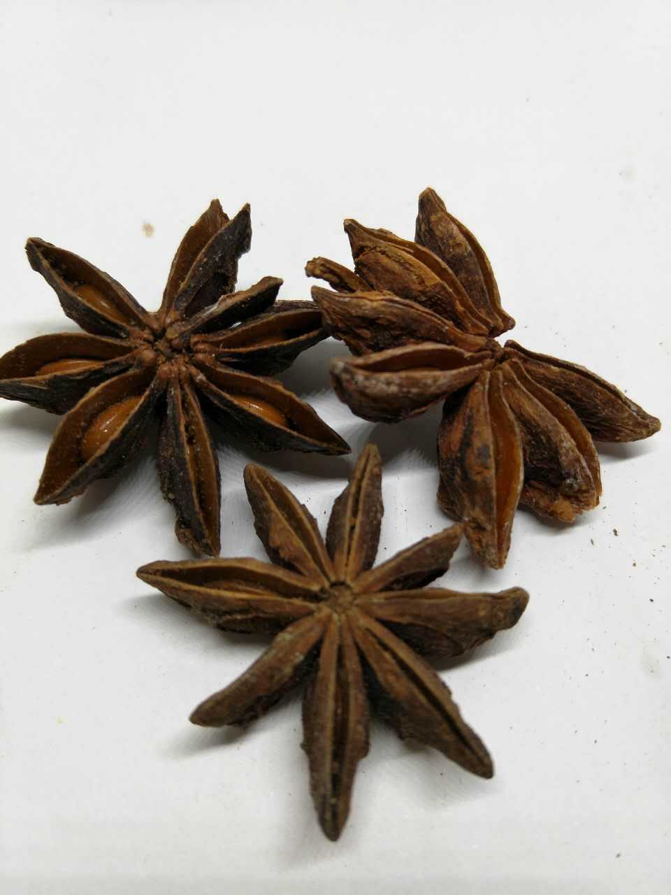 八角 大茴 八角茴香,大茴香,唛角一件代发品质大货免费打粉抓药