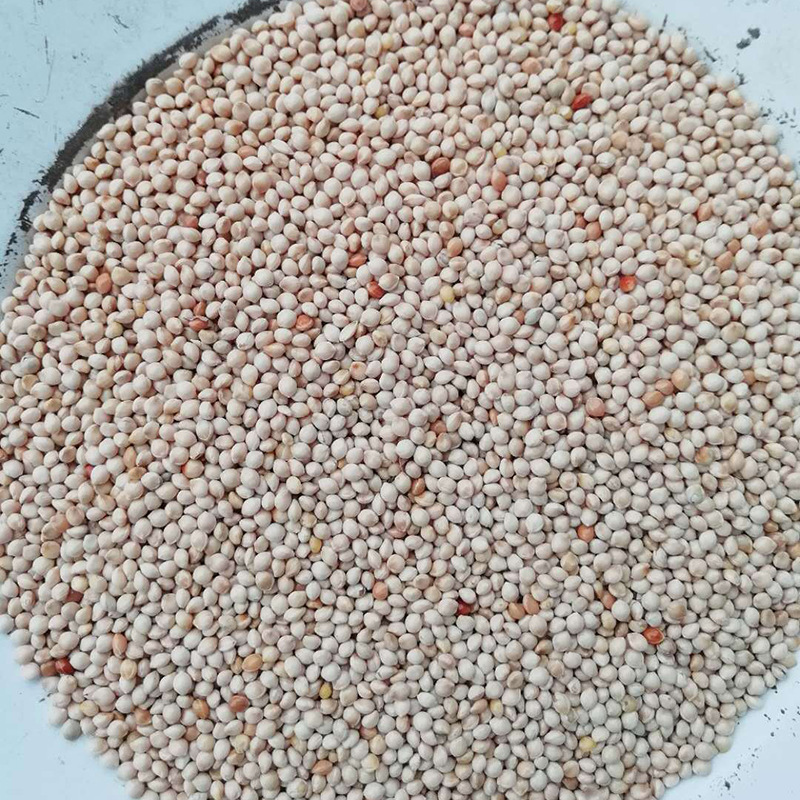 产地50斤袋白糜子硬糜子炒米糜子鸟食糜子米粉糜子不包邮