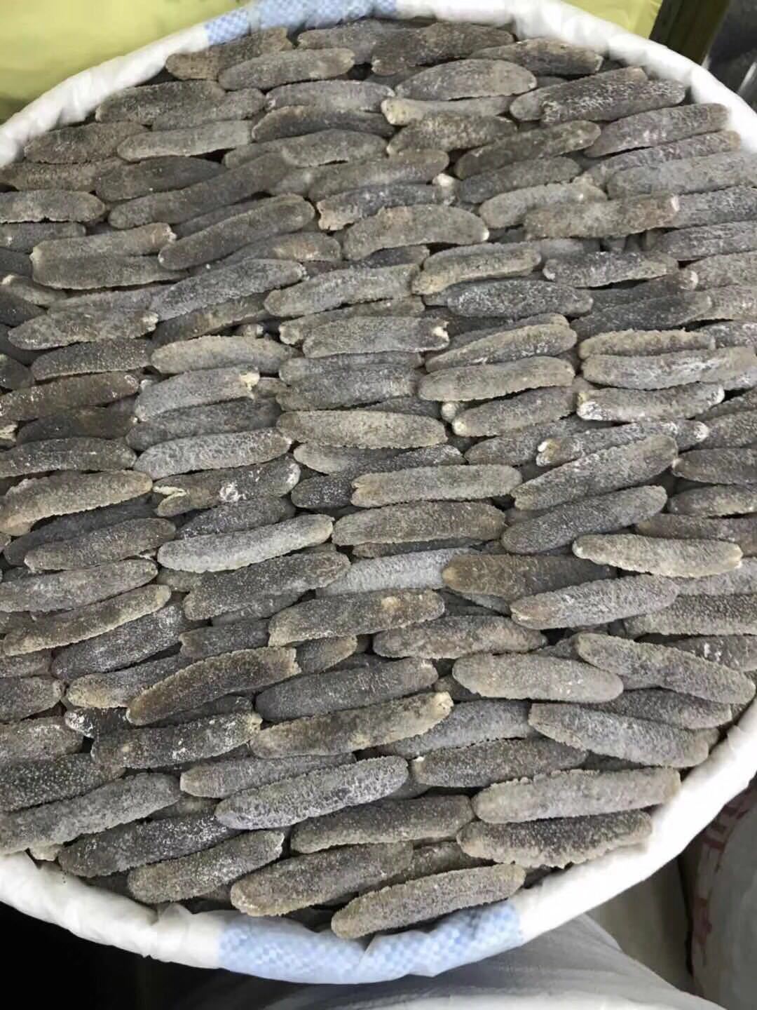 大量 沙秃参 胶质好发量大 海参干货 全国批发500g