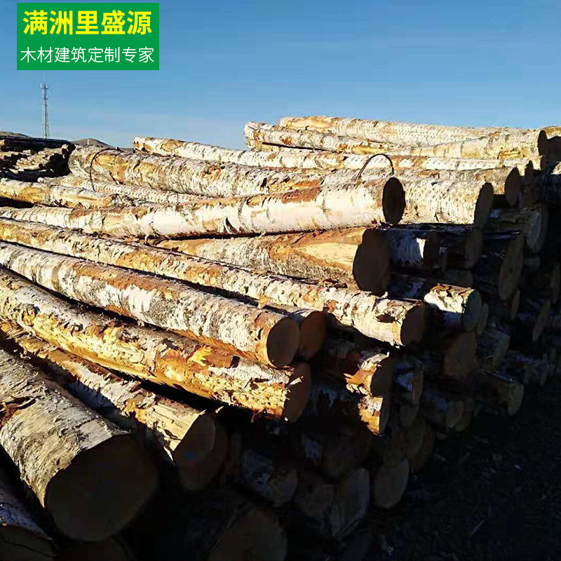 俄罗斯进口樟子松原木 红松白松落叶松 杨木桦木进口木材加工原木
