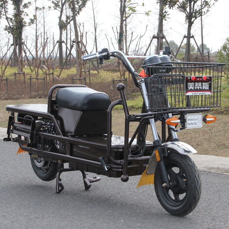 出口载重王拉货电动车大功率载货电瓶车 大平板电动车厂家批发